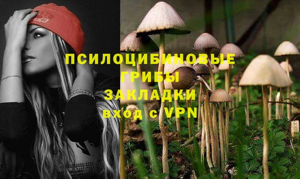 Альфа ПВП Алзамай