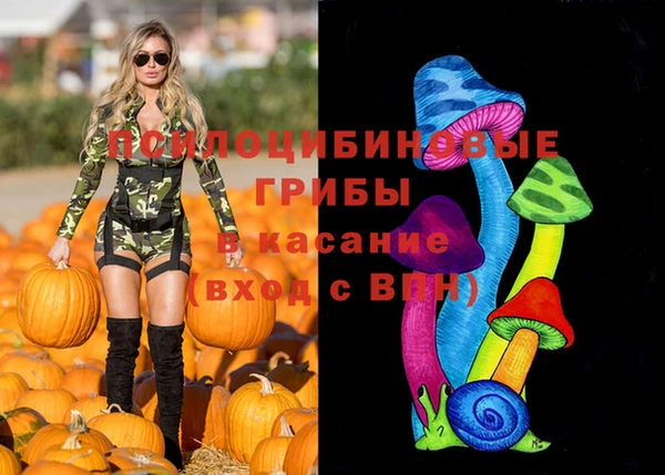 гидропоника Абинск