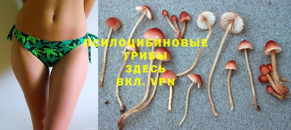 гидропоника Абаза