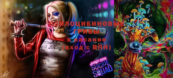 прущая мука Алексин