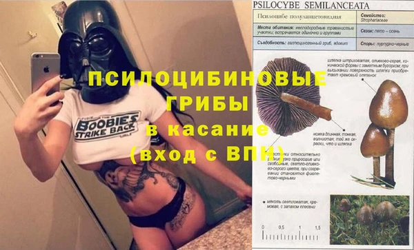 гидропоника Абинск