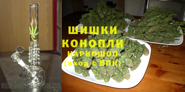 индика Алексеевка