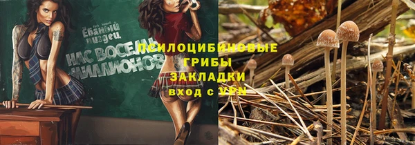 Альфа ПВП Алзамай