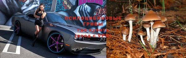 марки lsd Абдулино