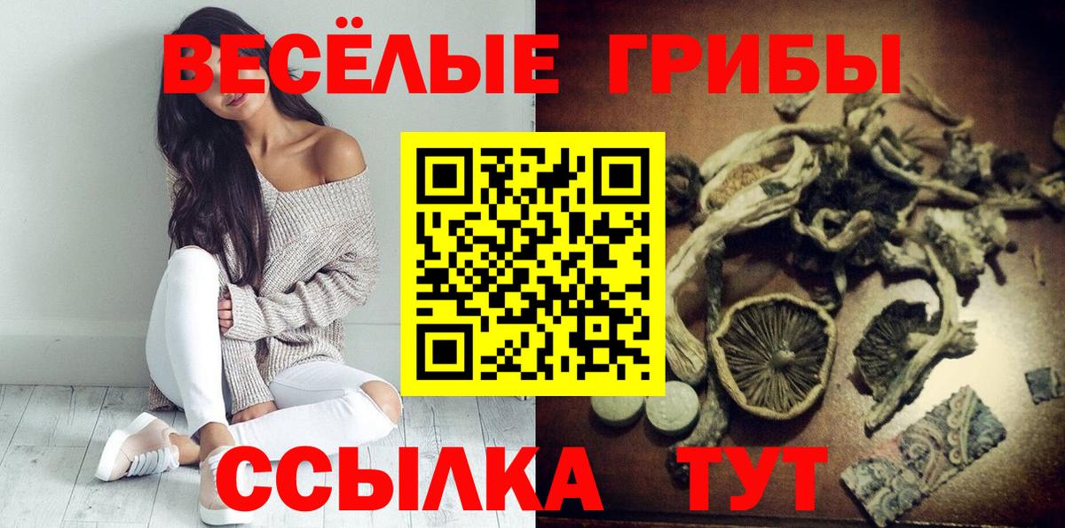 Лесозаводск  Галлюциногенные грибы ЛСД  Галлюциногенные грибы Psilocybine cubensis  Вход с VPN 
